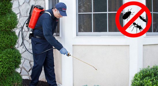 Mithatpaşa Böcek ve Haşere İlaçlama böcek ilaçlama ve haşere kontrolü — ilaclama-tr.com